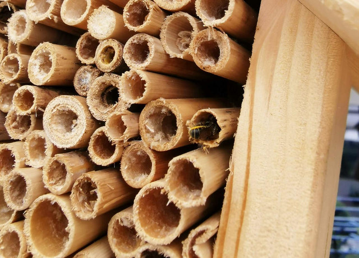 Bienenhotel aus Holz